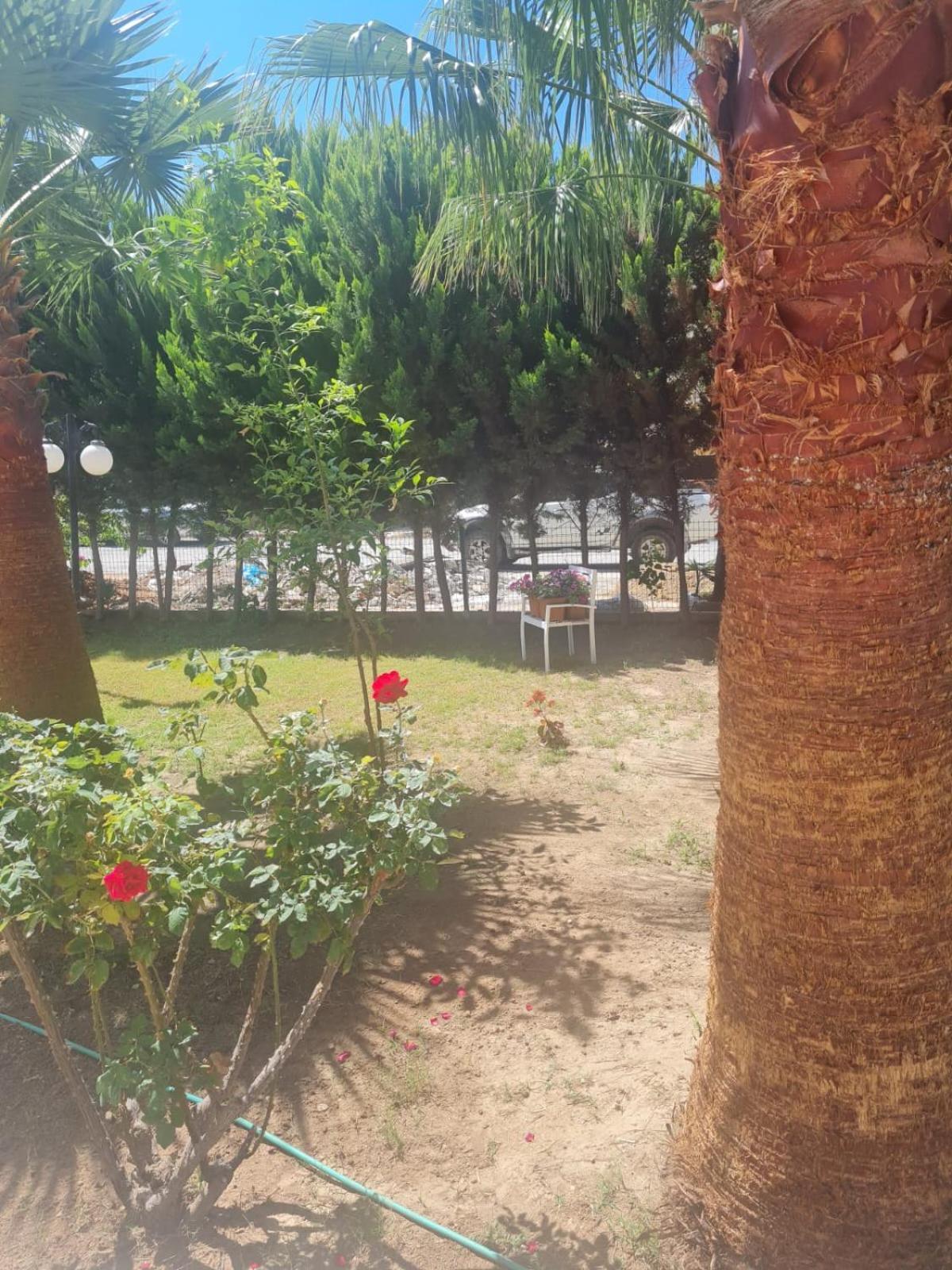 Delight Boutique Hotel Akbük Dış mekan fotoğraf